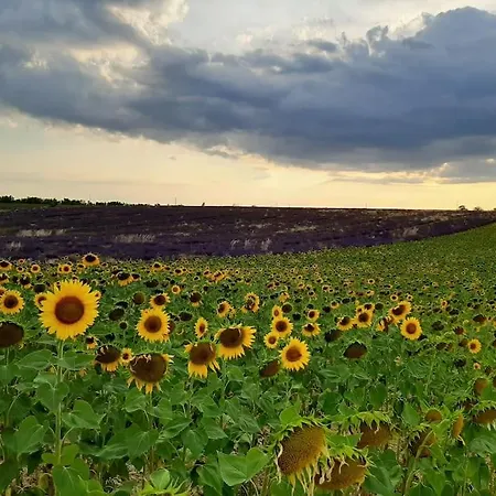 Villa Les Lauriers Valensole